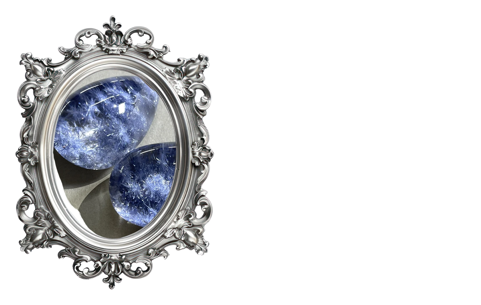 海膽花